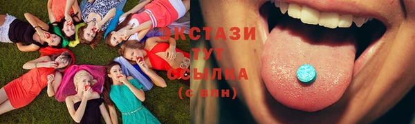 гидра Верхний Тагил