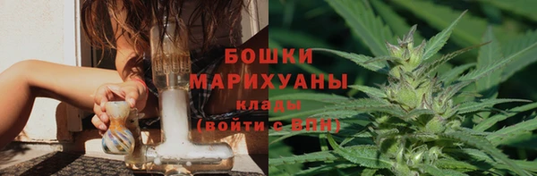 гидра Верхний Тагил