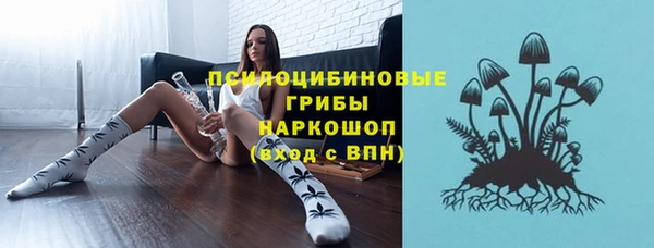 гидра Верхний Тагил