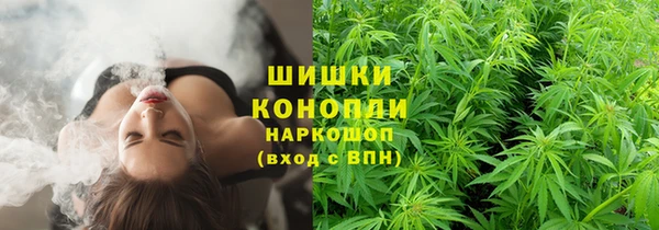 гидра Верхний Тагил