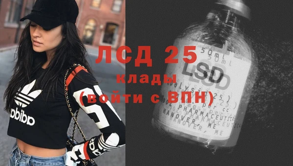 гидра Верхний Тагил