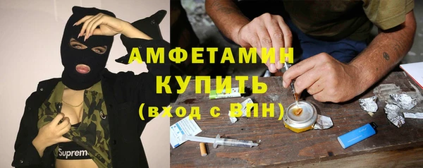 гидра Верхний Тагил